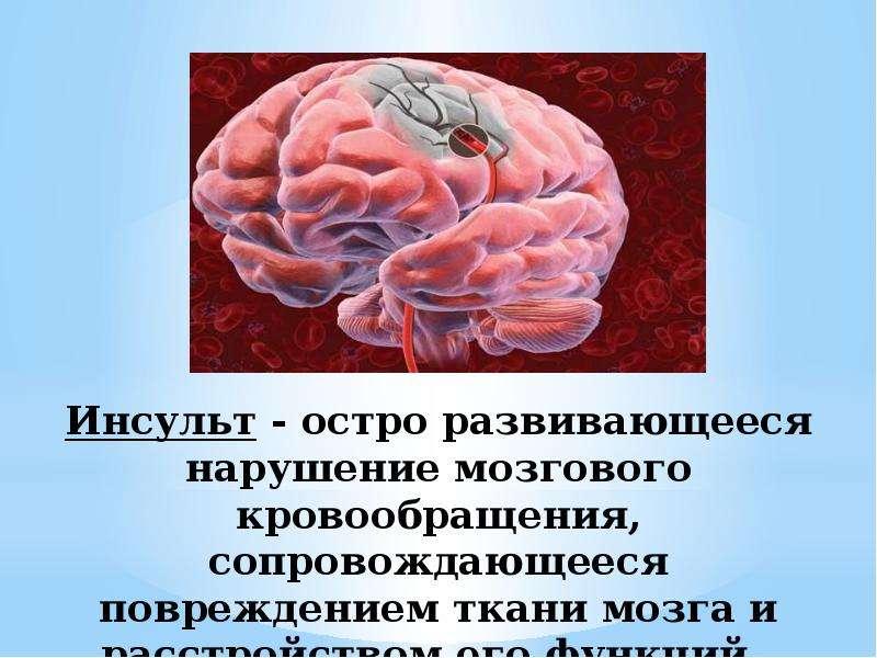 Сердечно сосудистые заболевания первая помощь при кровотечении 8 класс презентация пасечник