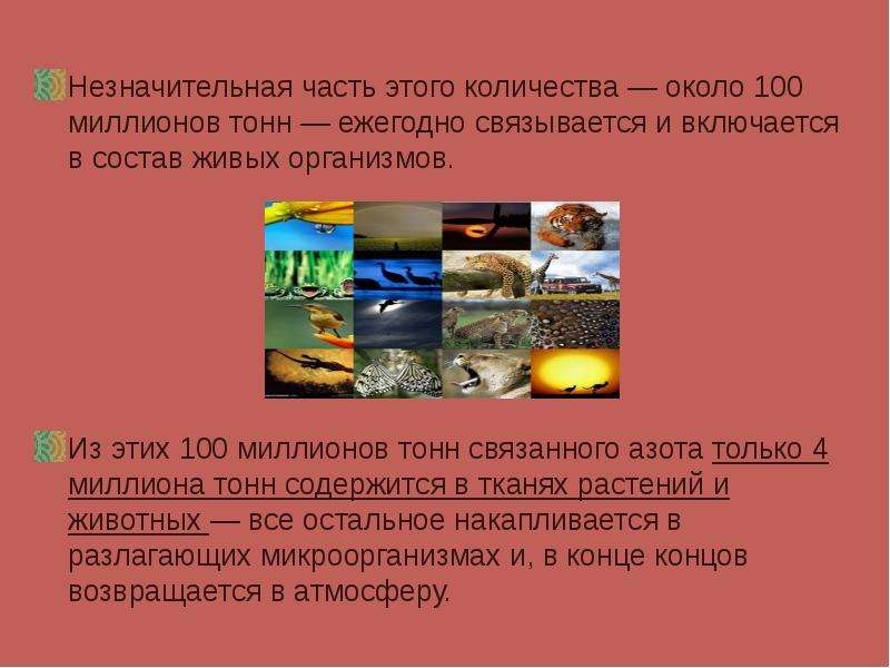 Около 100. Блеск азота. Функции азота в составе живых организмов. В состав живых организмов входят азот. Азот в атмосфере.