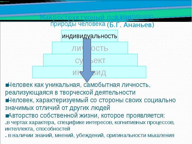 Общее представление о человеке