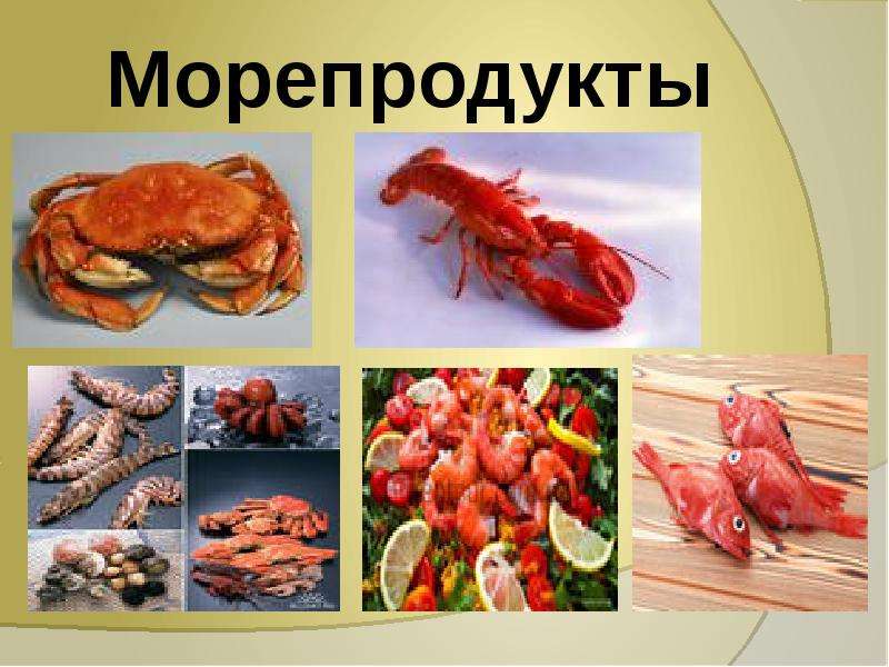 Морепродукты презентация по технологии 6 класс