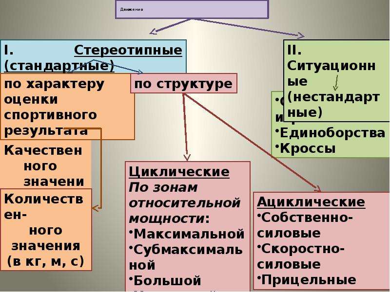 Шаблон для презентации физиология