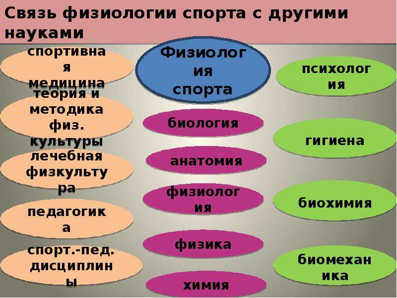 Презентация о пользе физических упражнений