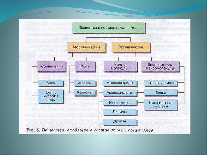 Вещества клетки являющиеся основным строительным материалом. Неорганические вещества. Органические и неорганические вещества клетки. Органические и неорганические вещества биология. Неорганические вещества входящие в состав клетки Минеральные соли.