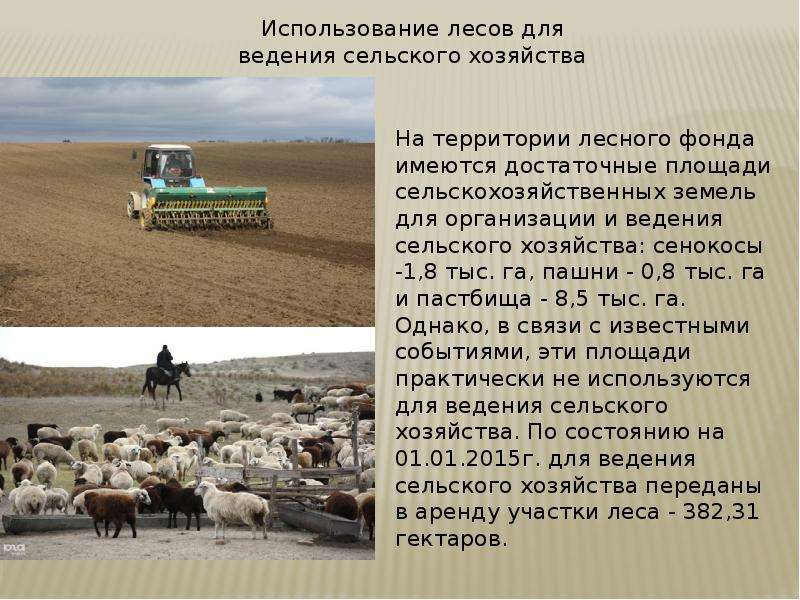 Ограничения для ведения сельского хозяйства в тайге