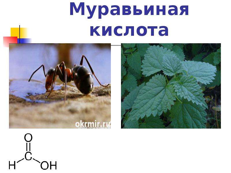 Молочная кислота муравьиная кислота