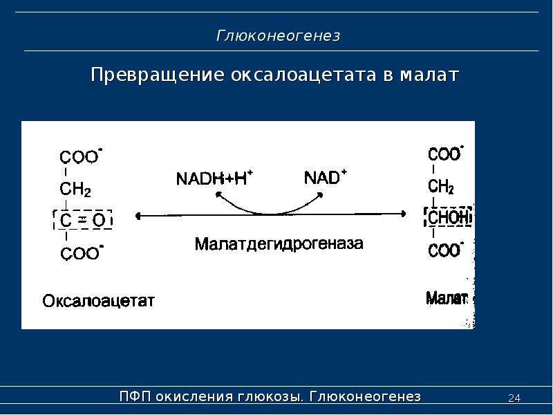 Схема пентозофосфатного пути