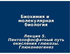 Пентозофосфатный путь окисления глюкозы. Глюконеогенез. (Лекция 5)