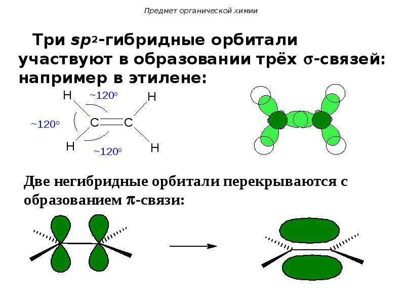 Сигма соединение. Гибридизация SP sp2 sp3 Сигма связи. Sp2-гибридные этилена. В образовании Сигма связи участвуют два гибридных. Гибридные и негибридные орбитали.