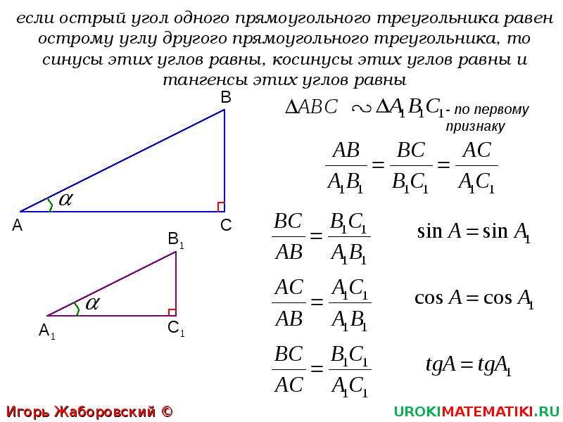 Косинус и тангенс острого угла. Синус косинус тангенс острого угла прямоугольного треугольника. Синус острого угла прямоугольного треугольника равен. Синус косинус тангенс острого угла. Синус острого угла а треугольника.