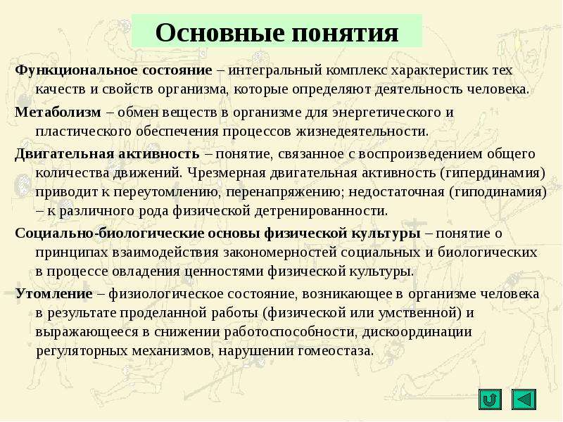 Социально биологические основы физической культуры презентация