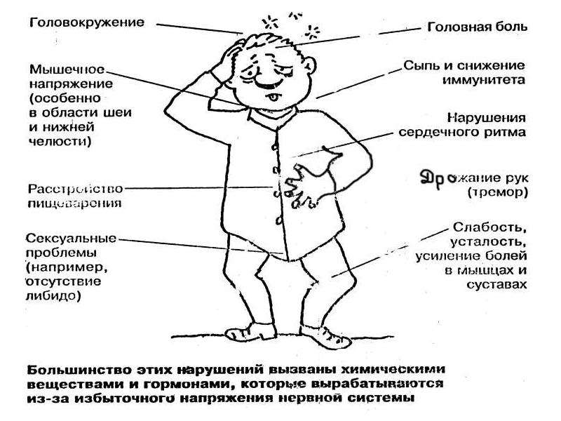 Субсиндромы или фазы стресса презентация