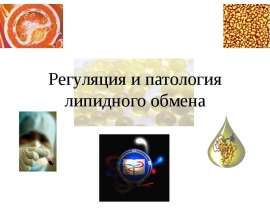 Регуляция и патология липидного обмена