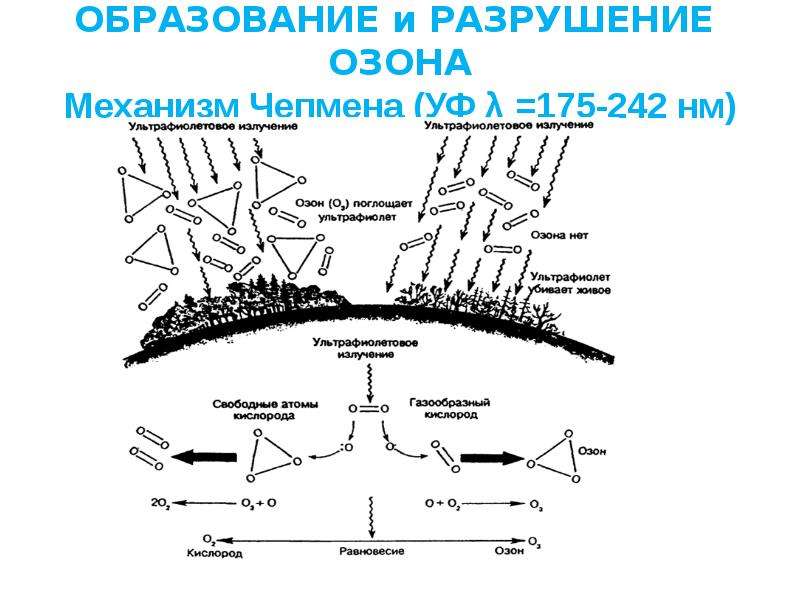 Схема разрушения озонового слоя под действием фреонов