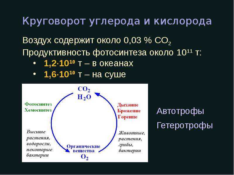 Круговорот углерода. Круговорот углерода и кислорода. Круговороты углерода и кислорода, их сопряженность. Круговорот углерода микробиология. Цикл углерода микробиология.