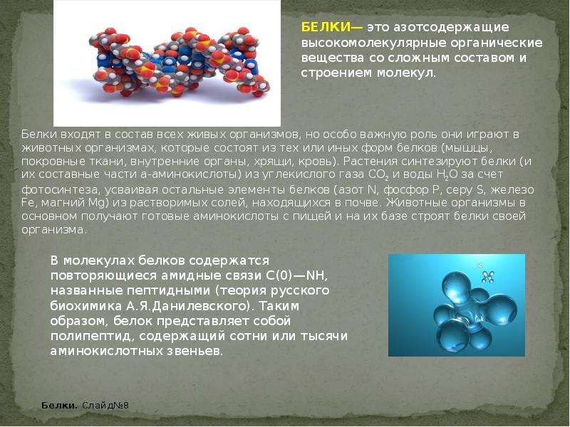 Белки содержат аминокислот. Белки аминокислоты. Белки химические элементы.