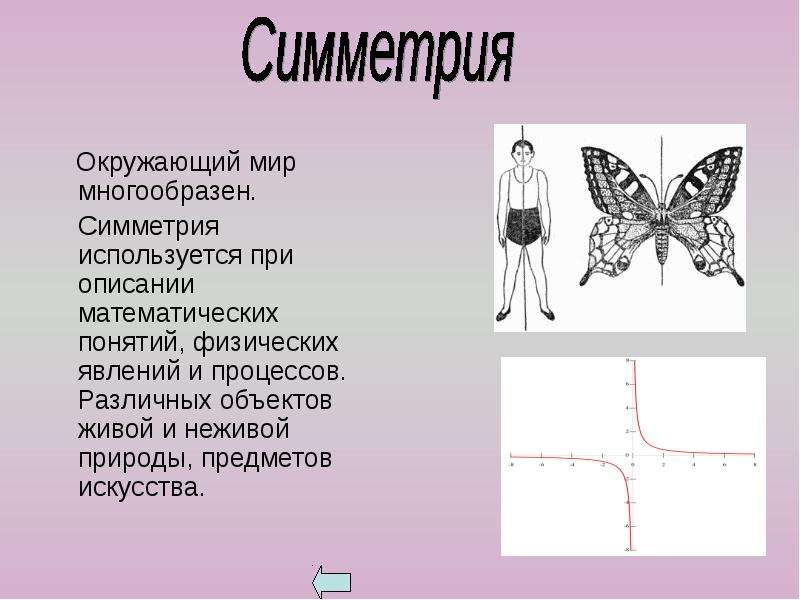 Симметрия в нашей жизни проект по математике