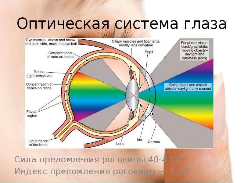 Преломление света линзы 8 класс презентация