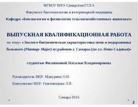 Эколого-биохимическая характеристика почв и подорожника большого (Plantago Major) из районов г. Самары