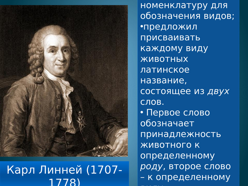 Бинарная номенклатура. Кто предложил первую классификацию животных. Кто создал первую классификацию животных. Кто ввел бинарные названия видов.