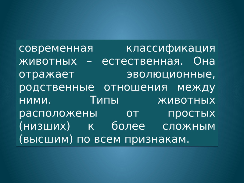 План рассказа о родственных связях между животными