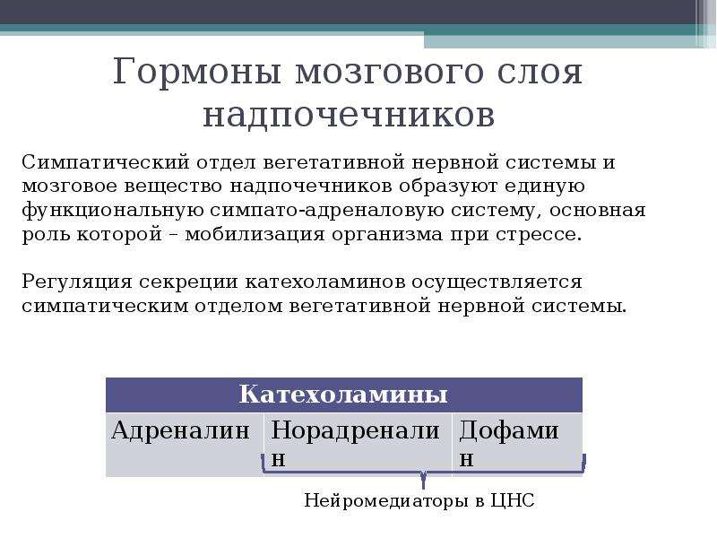 Гормоны мозга. Гормоны мозгового слоя надпочечников. Регуляция секреции гормонов мозгового вещества надпочечников. Гормоны мозгового слоя надпочечников физиология. Гормональная функция мозгового слоя надпочечников.