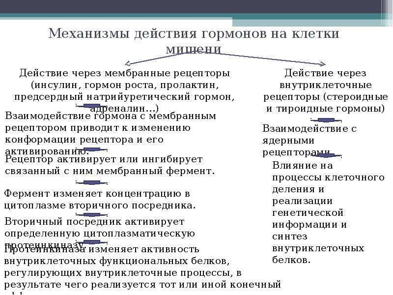 Механизм действия гормонов на клетку. Механизмы влияния гормонов на клетки-мишени. Механизмы действия гормонов на клетку физиология. Механизм действия гормонов на клетки мишени физиология. Механизм воздействия гормонов на клетки.