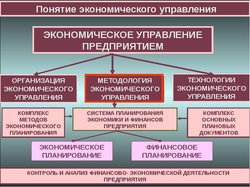 Экономическое понимание. Управление экономической деятельностью. Экономика и управление на предприятии (организации). Финансово экономическое управление предприятием. Понятие организации в экономике.