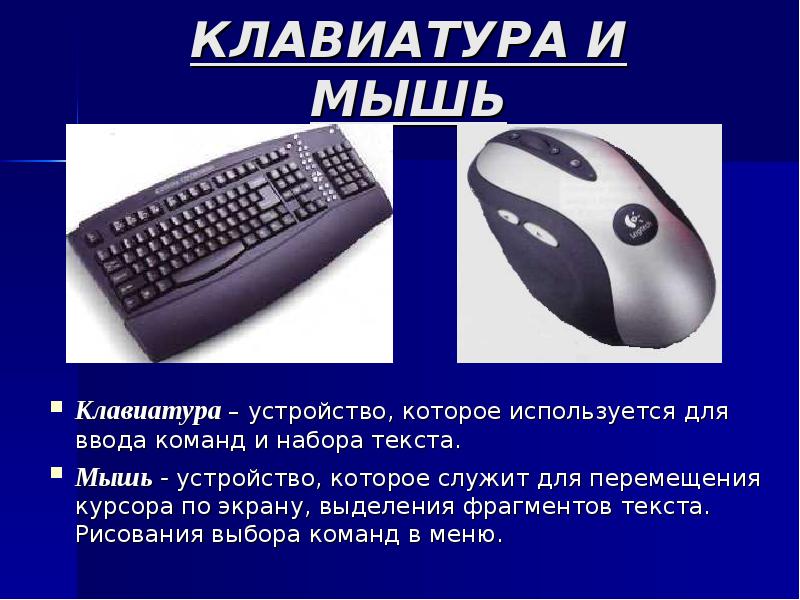 Презентация устройство клавиатуры и мыши настройка параметров работы клавиатуры и мыши