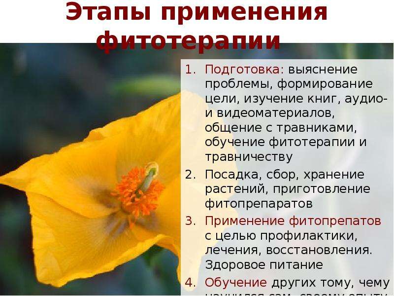 Этапы применения