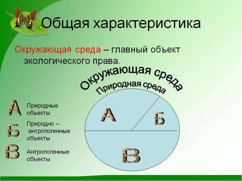 Сложный план экологическое право по обществознанию