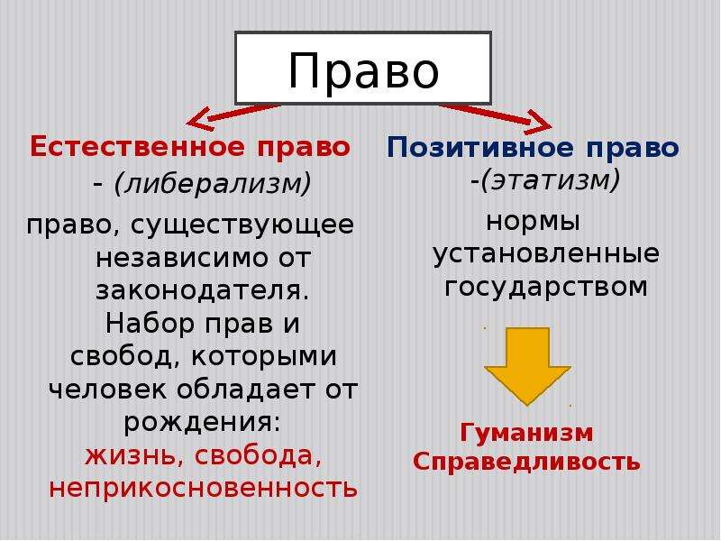 Естественное право