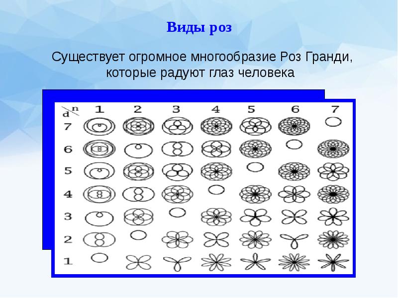 Роза гранди проект