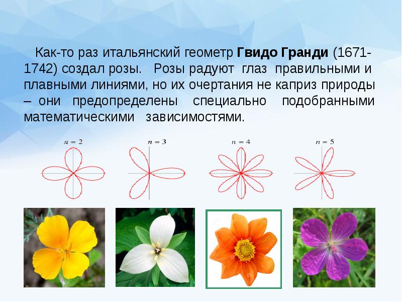 Роза гранди проект