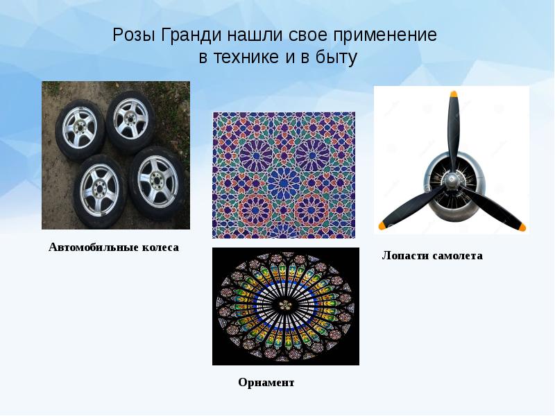 Математический цветник розы гвидо гранди проект