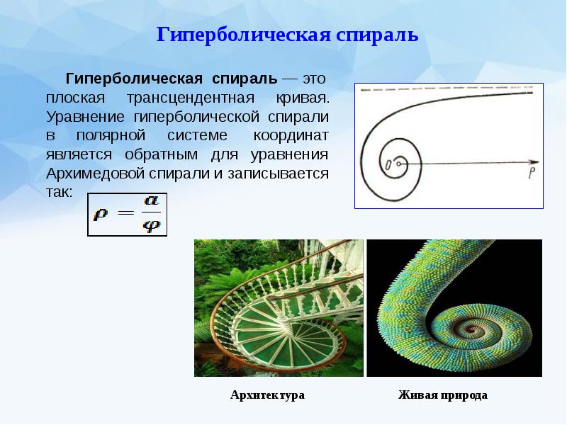 Математические кривые проект