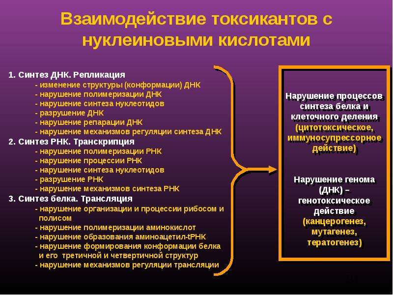 Изменение взаимодействии. Нарушение синтеза ДНК. Аминоацетил. Структурные нарушения ДНК. Структурные изменения в организме это.