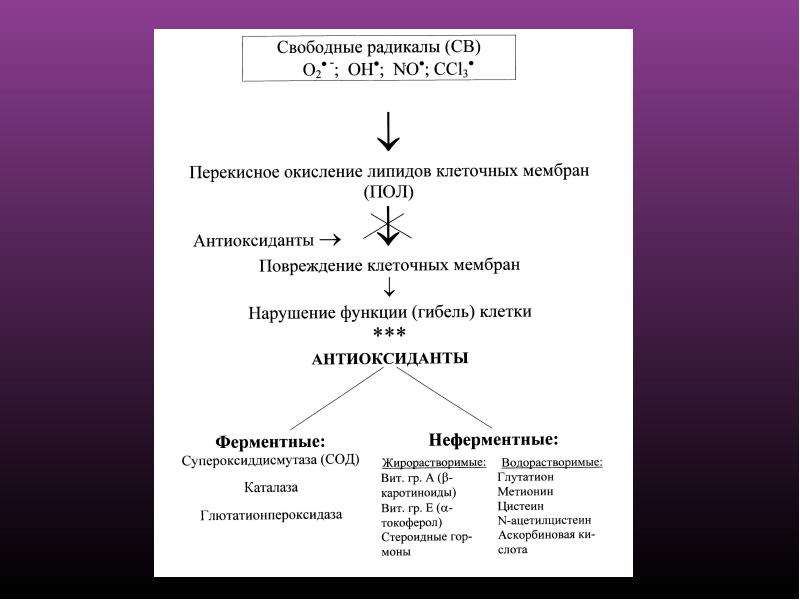 Последствия перекисного окисления липидов. Перекисное окисление липидов функции. Перекисное окисление липидов схема. Схема реакций перекисного окисления липидов. Перекисное окисление липидов мембран.