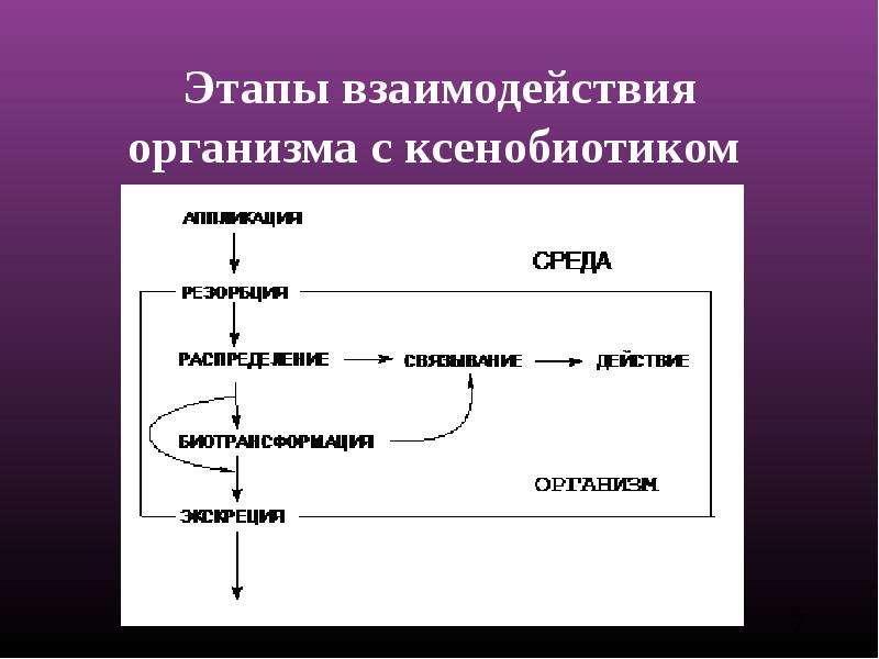 Последовательность этапов взаимодействия. Этапы взаимодействия организма с ксенобиотиком. Этапы взаимодействия. Пути выведения ксенобиотиков. Пути поступления ксенобиотиков в организм.