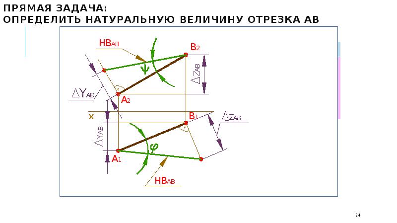 Натуральная величина отрезка