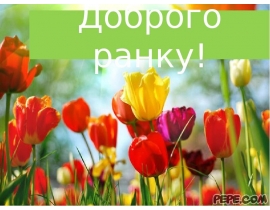 Односкладні речення. Види односкладних речень