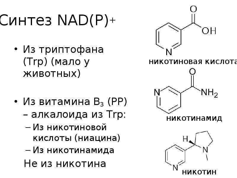 Никотин биохимия. Триптофан Синтез никотинамида. Синтез из триптофана витамина ниацина. Синтез никотиновой кислоты из никотина.