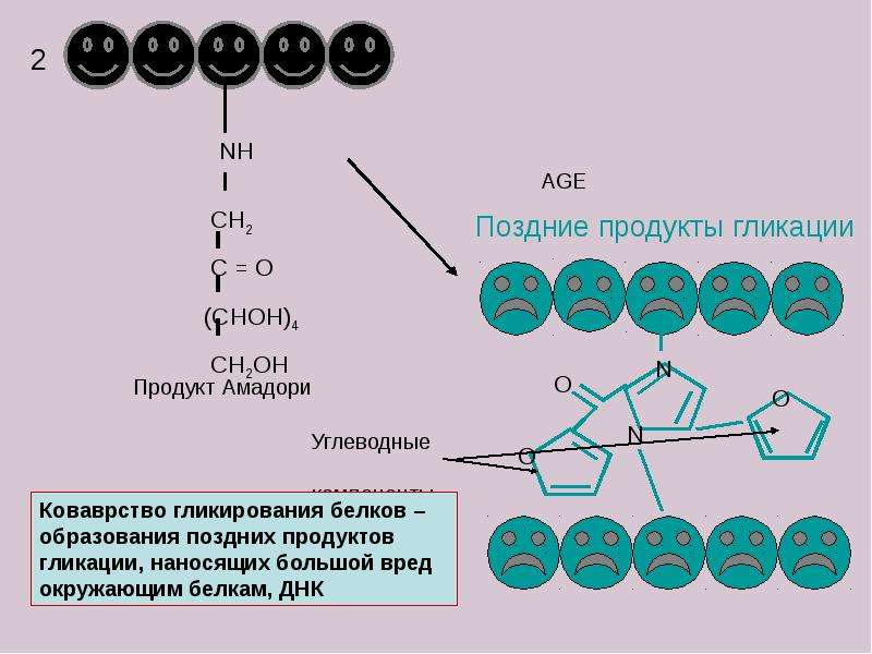 Биохимические механизмы нарушения обмена углеводов и липидов, слайд 16