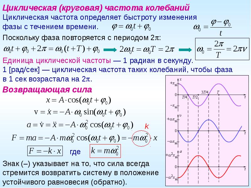Определение частоты колебаний. Циклическая круговая частота колебаний. Начальная фаза гармонических колебаний p/4. Уравнение гармонических колебаний с циклической частотой. Амплитуда гармонических колебаний.