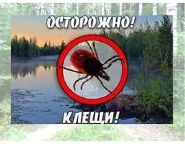 Осторожно клещи