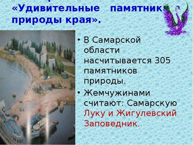 Памятники природы проблемы