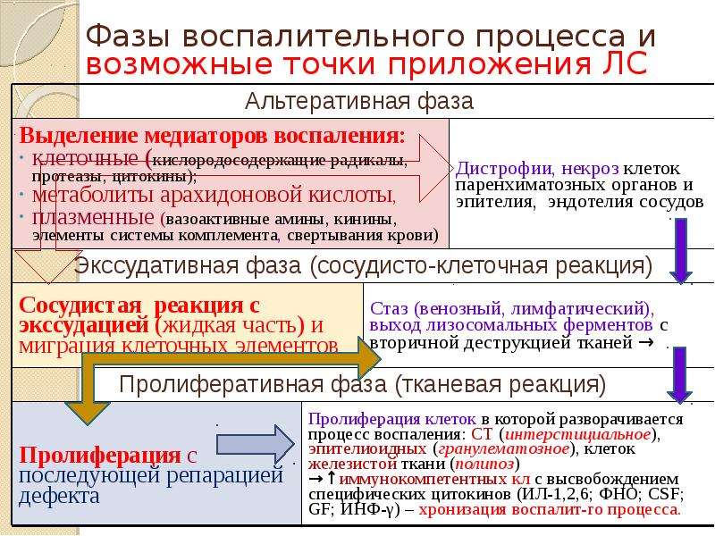 Стадии фазы воспаления