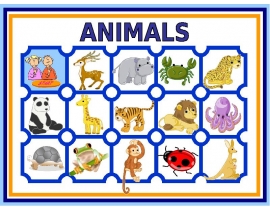 Animals game