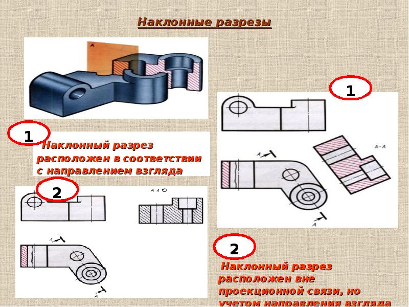 Главный вид разреза