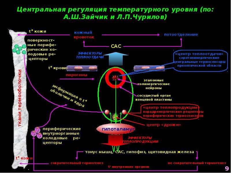 Нарушение терморегуляции. Система терморегуляции космического аппарата. Возрастные особенности терморегуляции организма человека. Терморегуляция в приборе. Нарушение терморегуляции этапы планирования.