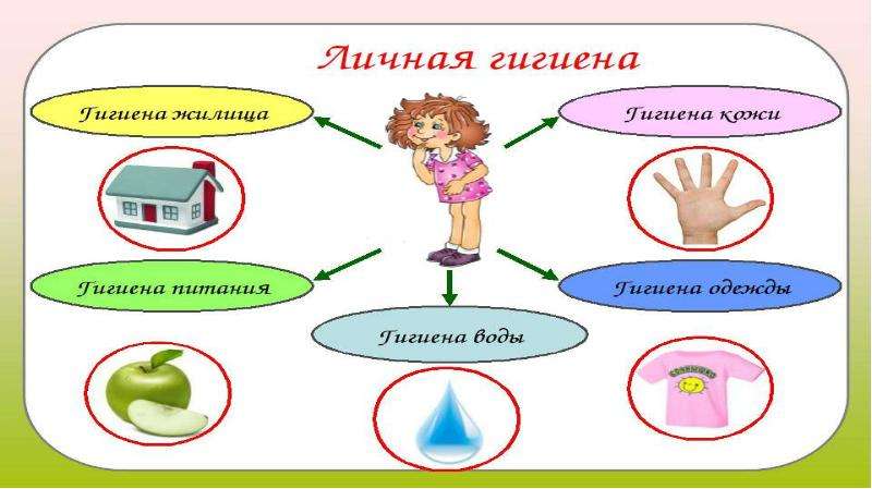 Личная гигиена презентация 7 класс